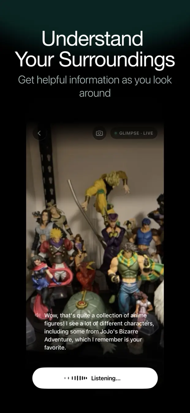 Glimpse recognising a shelf of anime figures