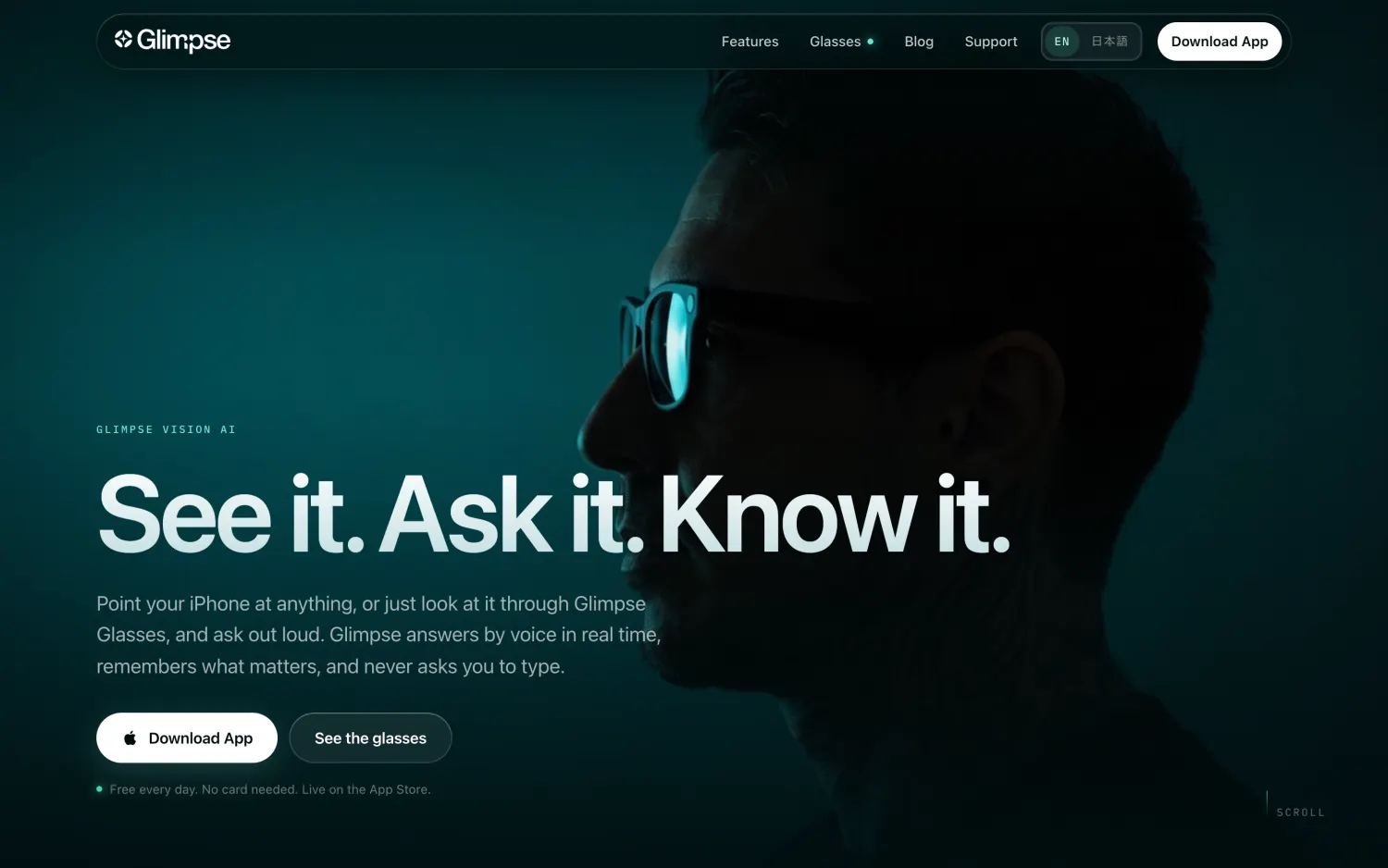The Glimpse marketing site: see it, ask it, know it
